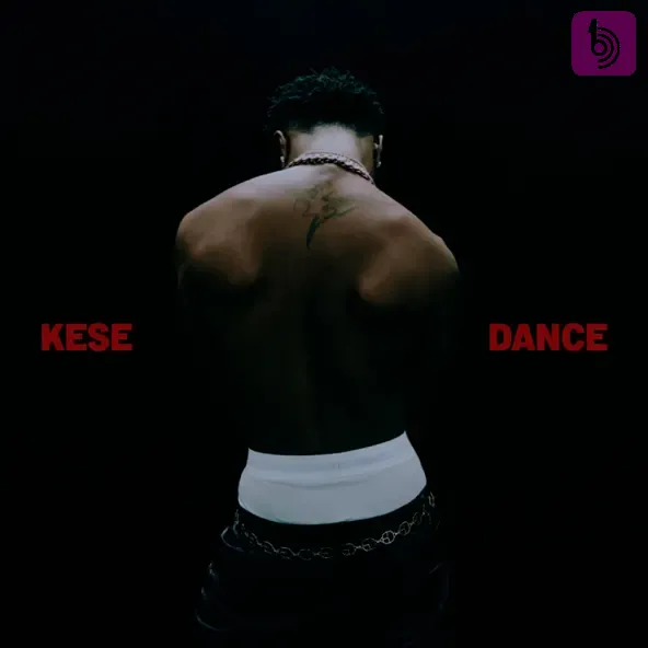 Wizkid - Kese (Dance)