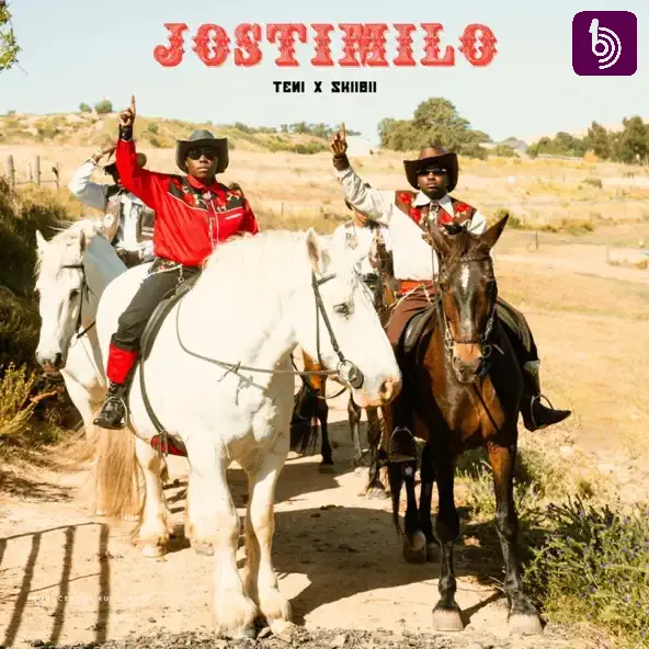 Teni – Jostimilo (feat. Skiibii)